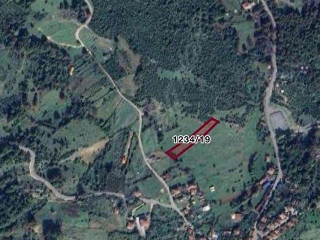 RAN PROJE den Şile Hacıllı da doğa ile iç içe yatırımlık Tarla