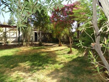 Rancagua, Alameda Bernardo Ohiggins