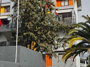 Rancagua, bombero villalobos