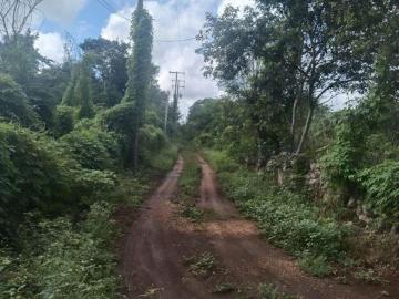 RANCHO 12 HECTÁREAS CERCA DE MÉRIDA YUCATÁN CON ENERGÍA ELÉCTRICA TEMAX