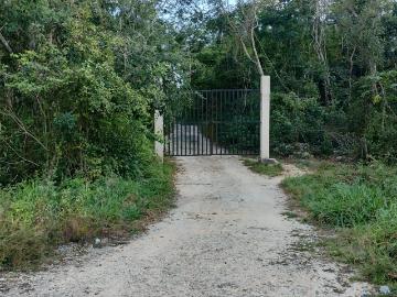 RANCHO 16.71 HECTAREA EN VENTA EN CHEMAX YUCATAN A 900 METROS DE LA CARRETERA