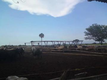 Rancho