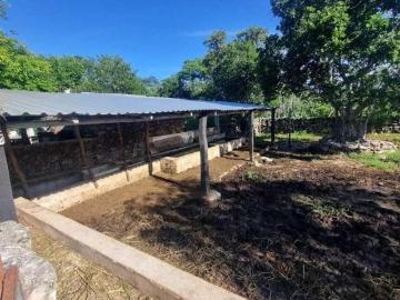 RANCHO 95 HECTÁREAS CERCA DE BUCTZOTZ YUCATÁN ZONA GANADERA