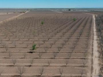 RANCHO CON NOGALES EN VENTA EN SAN PEDRO DE LAS COLONIAS, COAHUILA