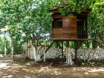 RANCHO CON CASA DE CAMPO Y LIMONES