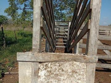 RANCHO CON CENOTE CERCA DE MÉRIDA, EN BUCTZOTZ YUCATÁN, ZONA GANADERA 31 HAS