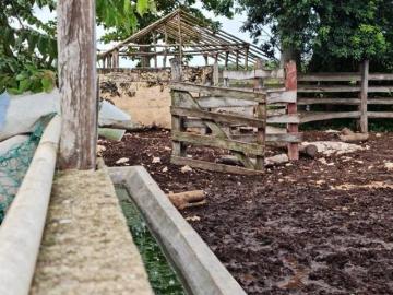 Rancho cerca de Chichén Itzá propiedad privada sobre carretera