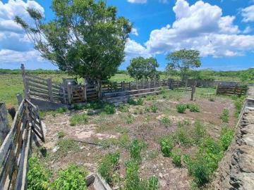 RANCHO CERCA DE BUCTZOTZ, EN YALSIHOM CERCA DE LAS PLAYAS DE DZILAN BRAVO