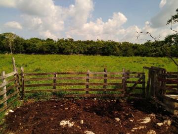 Rancho en venta en Buctzotz, Yucatán