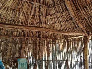 RANCHO CERCA DE MERIDA 24 HECTAREAS EN TEABO YUCATAN PROPIEDAD PRIVADA