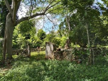 Rancho cerca de Merida 24 hectareas en Teabo propiedad privada