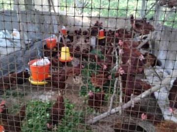 RANCHO CERCA DE TIZIMÍN EN ESPITA YUCATÁN SOBRE CARRETERA