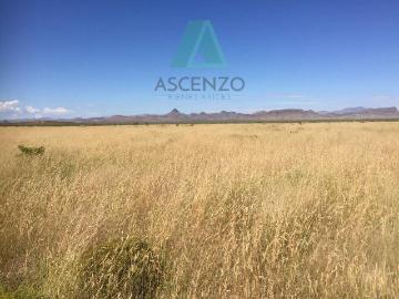 RANCHO AGR?COLA EN VENTA POR OJO LAGUNA CARR. CD JUAREZ