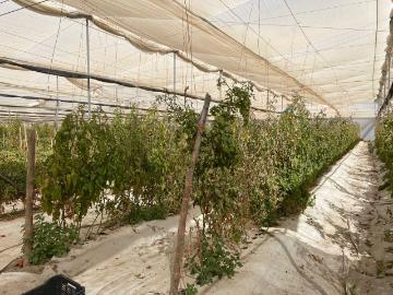 RANCHO Agricola EN VENTA Coahuila