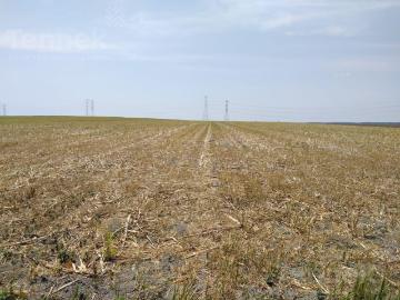 Rancho Agricola en Venta en Municipio de Altamira, Altamira