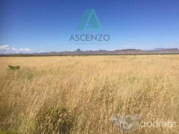 RANCHO AGRÍCOLA EN VENTA POR OJO LAGUNA CARR. CD JUAREZ