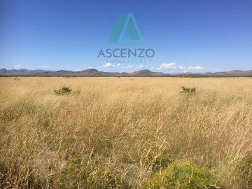 RANCHO AGRÍCOLA EN VENTA POR OJO LAGUNA CARR. CD JUAREZ