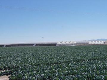 Rancho Agrícola Industrial PIEDRA DE LUZ, San Luis Potosi 4