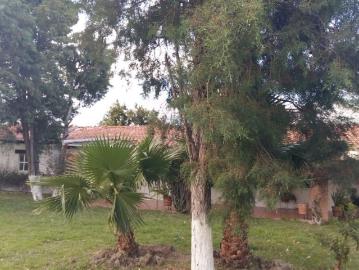 Rancho en Celaya Centro, Celaya, Guanajuato