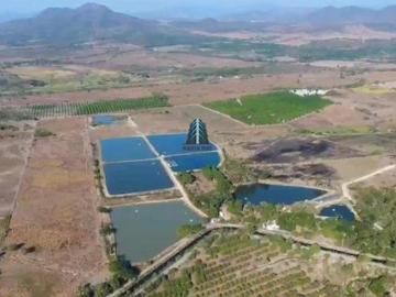 Rancho Agrícola y Acuícola de 47 Hectáreas en Venta en Tomatlán