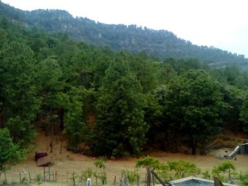 Rancho Agricola y Forestal en venta Pueblo Nuevo Dgo