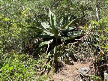 Rancho en Iturbide, Nuevo León