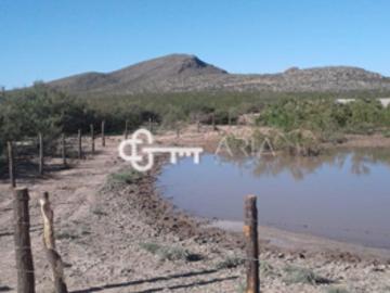 Rancho ganadero 18000 has juarez chihuahua