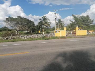 Rancho ganadero con cenote carretera Mérida Tizimín