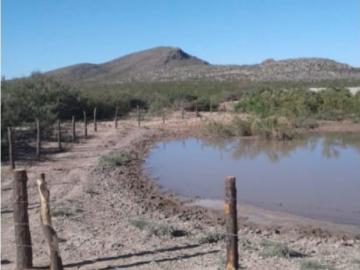 RANCHO GANADERO EN MPIO DE JUAREZ, CHIH 18,000 HAS