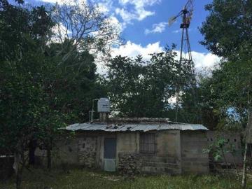 Rancho Ganadero en Temax