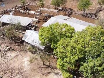 RANCHO GANADERO EN VENTA
