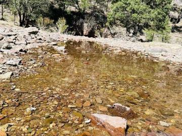 RANCHO GANADERO EN VENTA EN LA SIERRA DE CHIHUAHUA