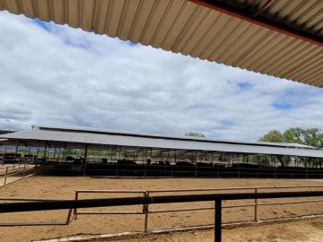 Rancho en Venta en San José Iturbide, Guanajuato, con Pozo de Agua