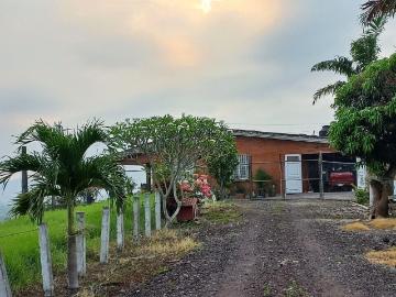 Rancho en Misantla Centro, Misantla, Veracruz
