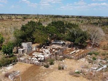 Rancho ganadero en venta YUCATÁN