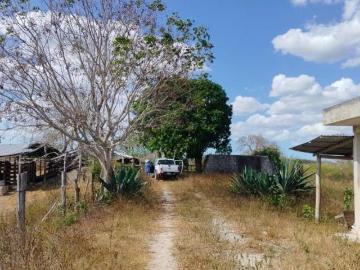 Rancho ganadero para reactivar