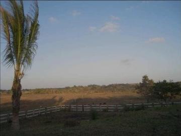 Rancho, ganado bovino y semen que en él se encuentra. Incluye avalúo