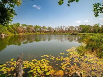 Rancho en Buctzotz, Yucatán