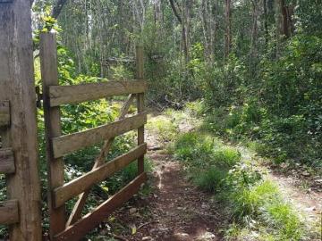 Rancho de 120 hectareas en Tekax propiedad privada