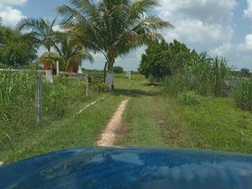 RANCHO DE 84 HECTÁREAS CERCA DE MÉRIDA Y TIZIMÍN, EN BUCTZOTZ, ZONA GANADERA