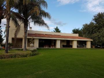 Rancho de 8 hect?reas en Venta Pabell?n de Hidalgo