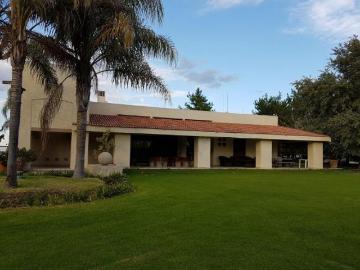 Rancho de 8 hectáreas en Venta Pabellón de Hidalgo