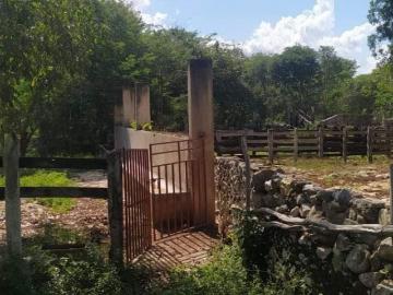 Terreno en Cantamayec, Yucatán