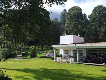 Rancho en Ajusco con vista al Pico del Águila. 25,053 m² con casa y caballeriza