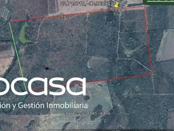 Rancho en Aldama