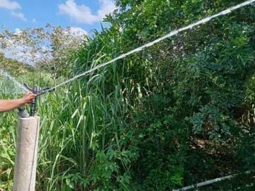 RANCHO EN BUCTZOTZ 49 HECTAREAS CERCA DE MERIDA