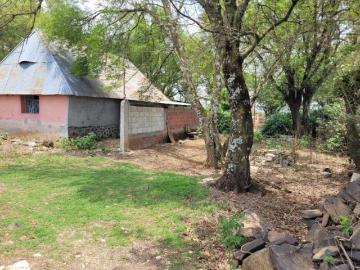 Rancho en los sabinos