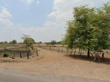 Rancho en Soledad Doblado 26.5 Ha 4
