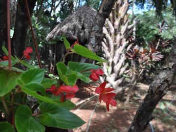 Rancho en San Ignacio Tesip, M?rida, Yucat?n