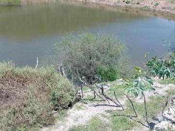 RANCHO EN TOLIMAN 512 HAS